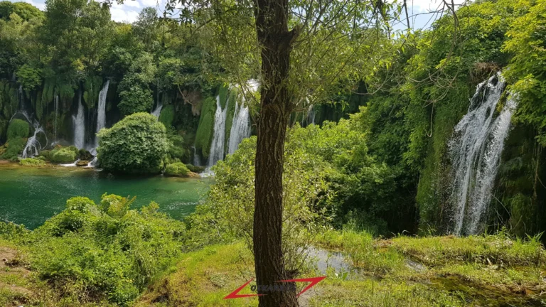 Kravica